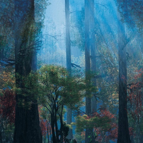 Carta da parati Foresta incantata - Adriani & Rossi